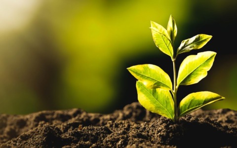 Giornata Verde a Rieti: ASM e comune insieme per l’ambiente