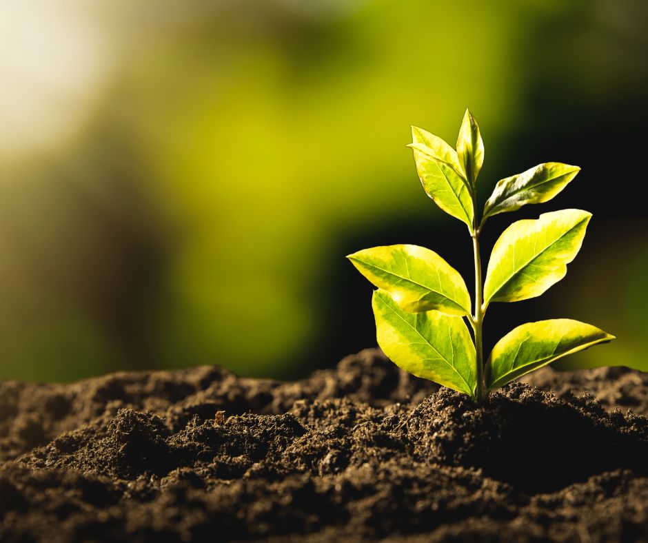 Giornata Verde a Rieti: ASM e comune insieme per l’ambiente