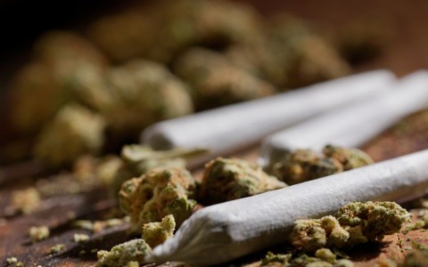 Donna arrestata per detenzione di stupefacenti: sequestrati oltre 300 grammi di marijuana