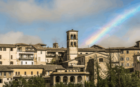 Interrogazione sul maxi-affidamento di APS Rieti: Sotto la lente l’incarico da 139.000 euro ad Ancitel