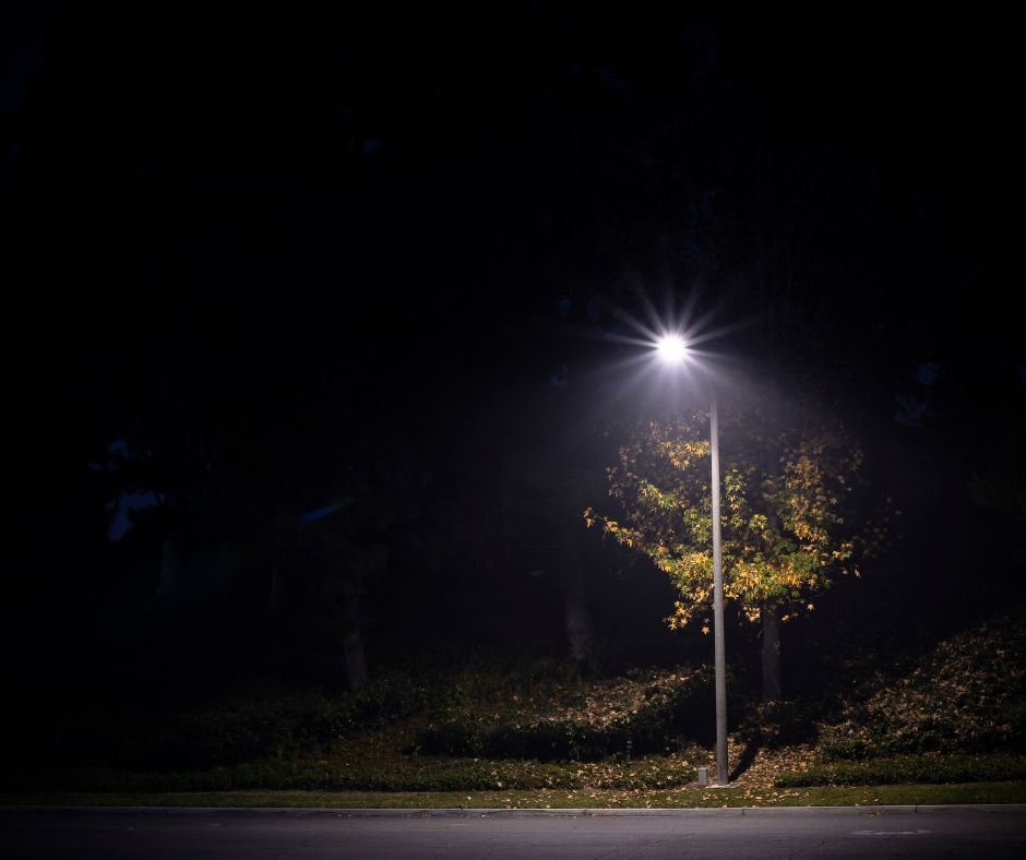 Segnalazione: assenza di illuminazione pubblica in via Palmiro Togliatti