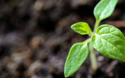Naturalia: la mostra fotografica sulla natura italiana a Greccio