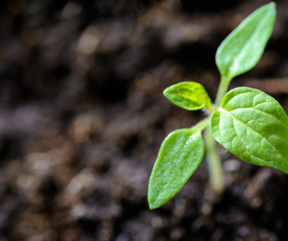 Naturalia: la mostra fotografica sulla natura italiana a Greccio