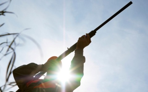 Fucile dimenticato sul tetto dell’auto: cacciatore denunciato per omessa custodia di armi ad Amatrice