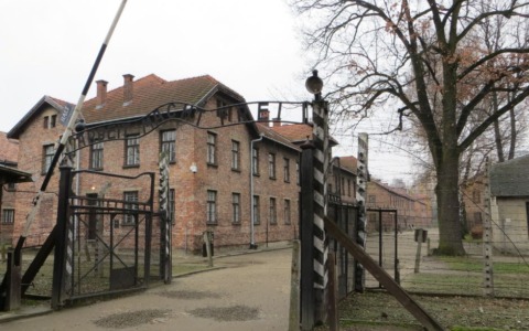 Giorno della Memoria: martedì 27 gennaio cerimonia in Prefettura per ricordare la Shoah