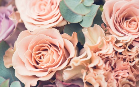 Rieti in Fiore 2026: tre giorni di magia floreale nel cuore della città