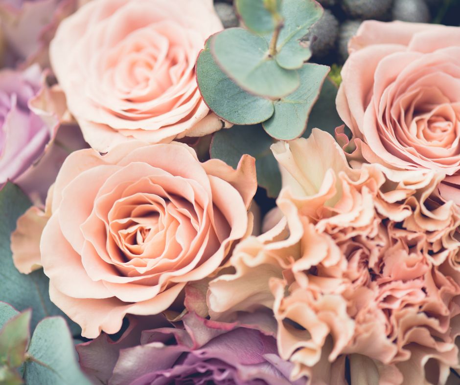 Rieti in Fiore 2026: tre giorni di magia floreale nel cuore della città