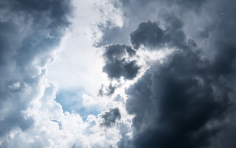 Due alberi abbattuti dal vento a Rieti: allarme sicurezza nelle aree pubbliche