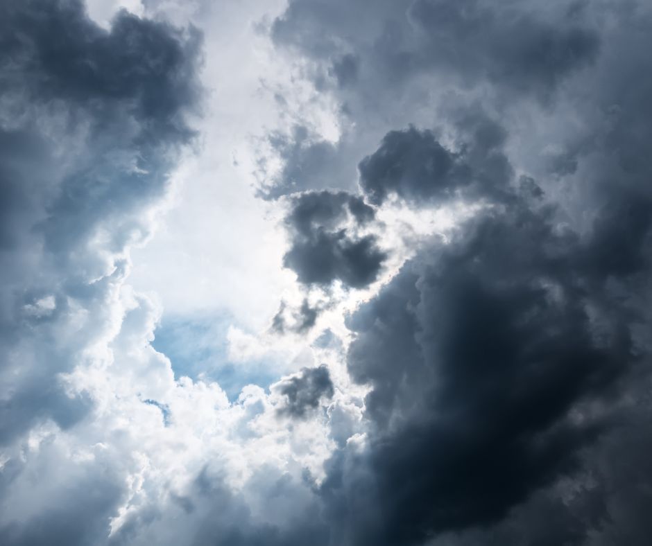 Due alberi abbattuti dal vento a Rieti: allarme sicurezza nelle aree pubbliche