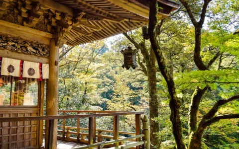 Il Comitato Gemellaggi di Rieti all’incontro annuale con l’Ambasciata del Giappone