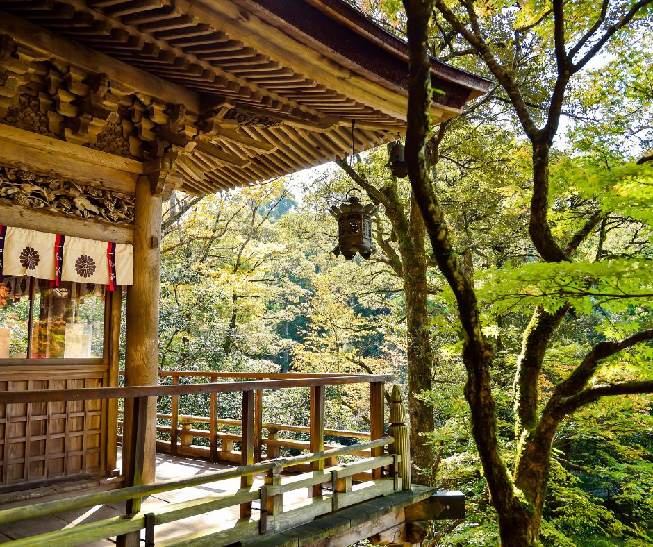 Il Comitato Gemellaggi di Rieti all’incontro annuale con l’Ambasciata del Giappone