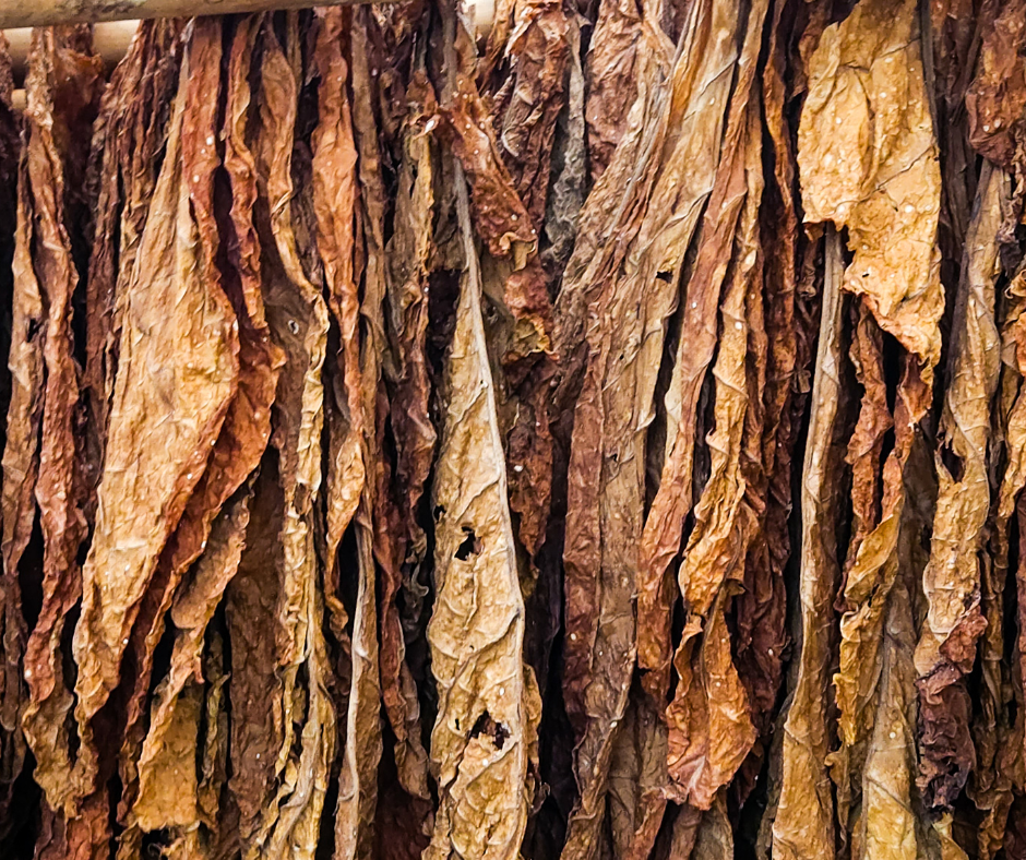Carabinieri sequestrano due chili di tabacco da masticare di contrabbando a Rieti