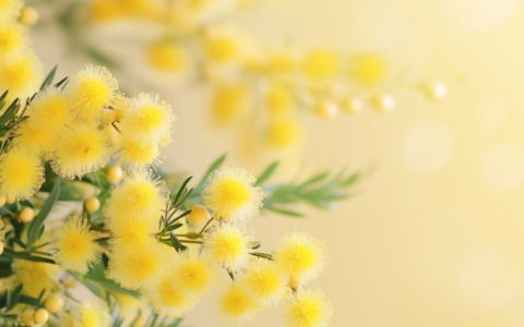 La Consigliera di Parità della Provincia di Rieti: Vicinanza alle Donne in Difficoltà