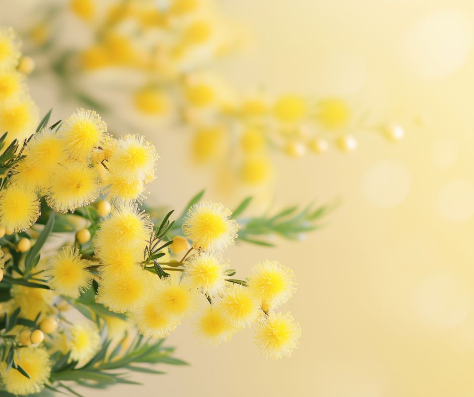 La Consigliera di Parità della Provincia di Rieti: Vicinanza alle Donne in Difficoltà